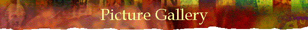 Picture Gallery